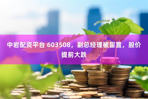 中岩配资平台 603508,副总经理被留置,股价提前大跌