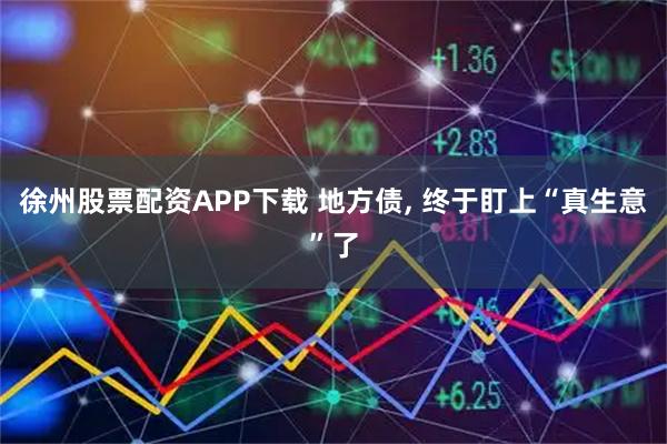 徐州股票配资APP下载 地方债, 终于盯上“真生意”了