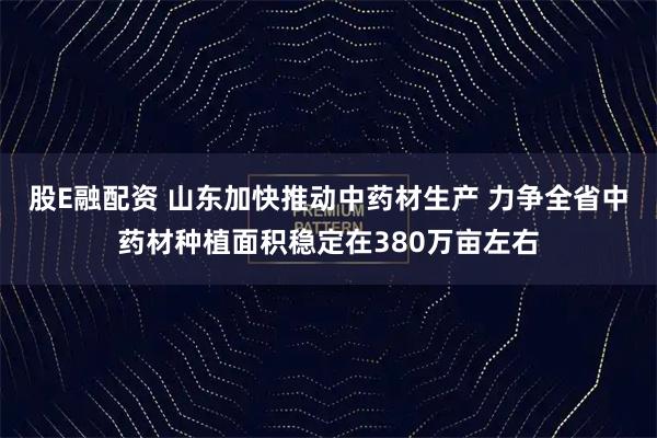 股E融配资 山东加快推动中药材生产 力争全省中药材种植面积稳定在380万亩左右