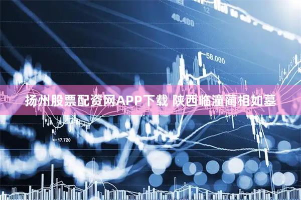 扬州股票配资网APP下载 陕西临潼蔺相如墓